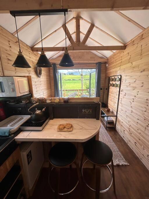 Riverside Cabin Limerick Ngoại thất bức ảnh