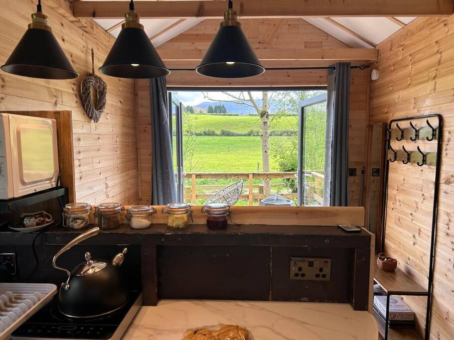 Riverside Cabin Limerick Ngoại thất bức ảnh