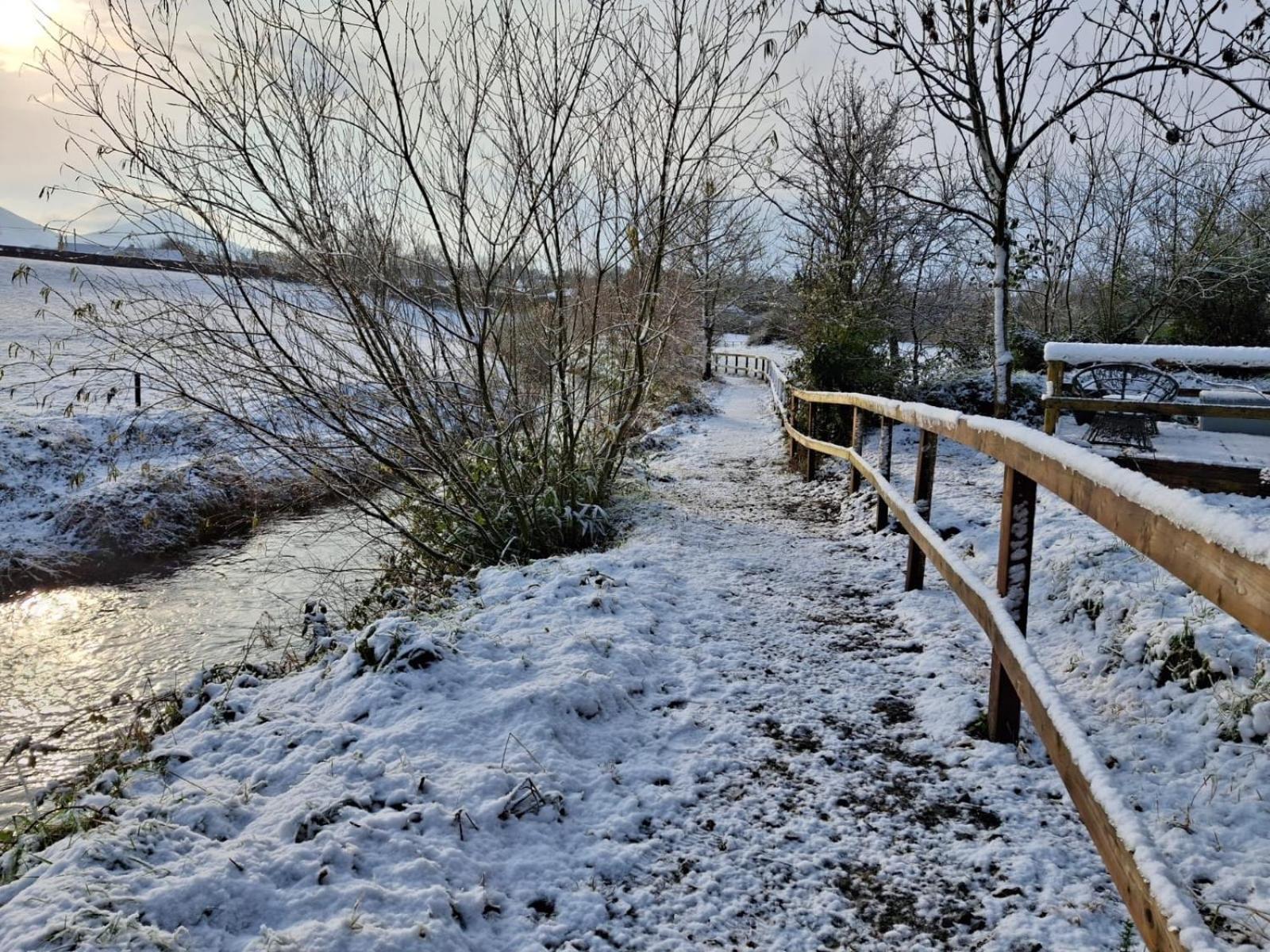Riverside Cabin Limerick Ngoại thất bức ảnh