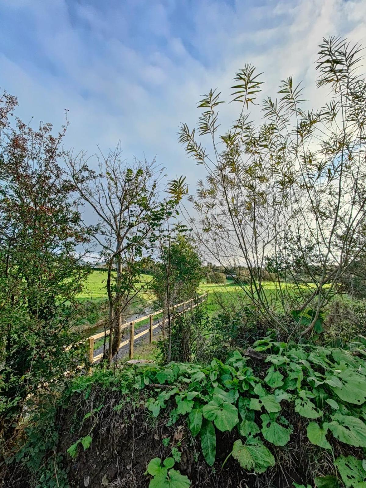 Riverside Cabin Limerick Ngoại thất bức ảnh