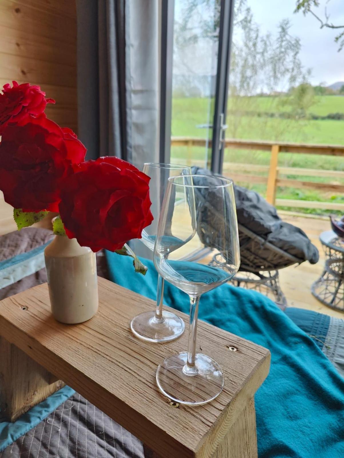 Riverside Cabin Limerick Ngoại thất bức ảnh